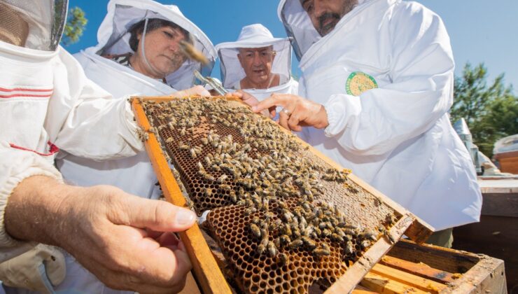 Üretici kooperatiflerinden 164 milyon lirayı aşan alım