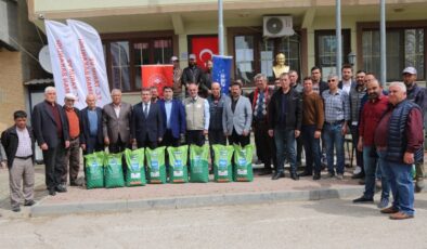 Bursa Mudanya’da silajlık mısır tohumu desteği