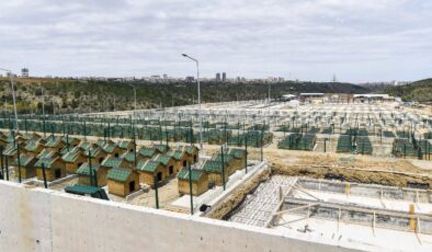 6 bin sokak dostuna modern konut