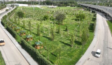 Atatürk Orman Çiftliği’ne yeni yeşil alan