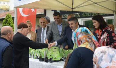 Bursa Yıldırımlılara 25 bin fide
