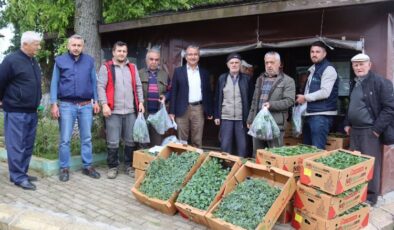 İzmit’te fideler kırsala dağıtılıyor