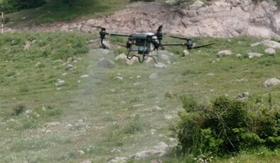 Manisa’da tarla çekirgelerine ‘drone’lu mücadele