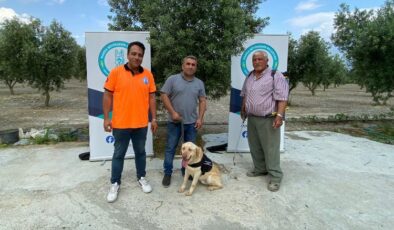 Manisa’da ‘Üzüm’ çiftçinin can yoldaşı olacak