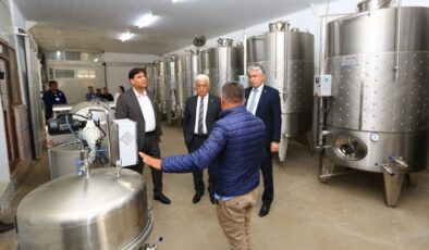 Muğla’ya üzüm suyu, sirke, pekmez ve şarap üretim tesisi