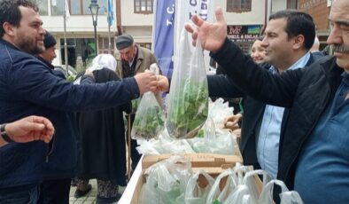 Pazaryeri Belediyesi’nden çiftçilere ücretsiz fide desteği