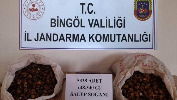 Bingöl’de salep soğanı toplayanlara 1 milyon 221 bin lira ceza kesildi