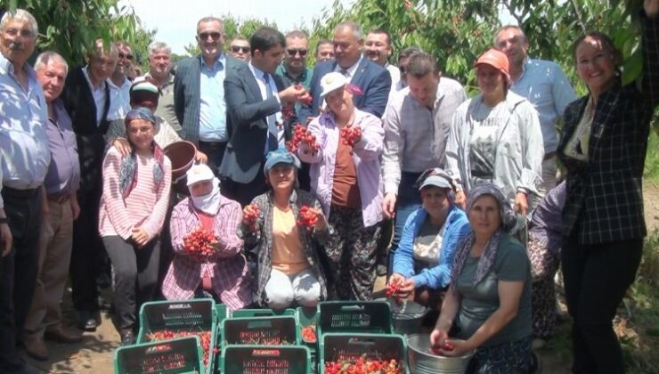 Çeribaşı Kiraz Hasadı Şenliği yapıldı