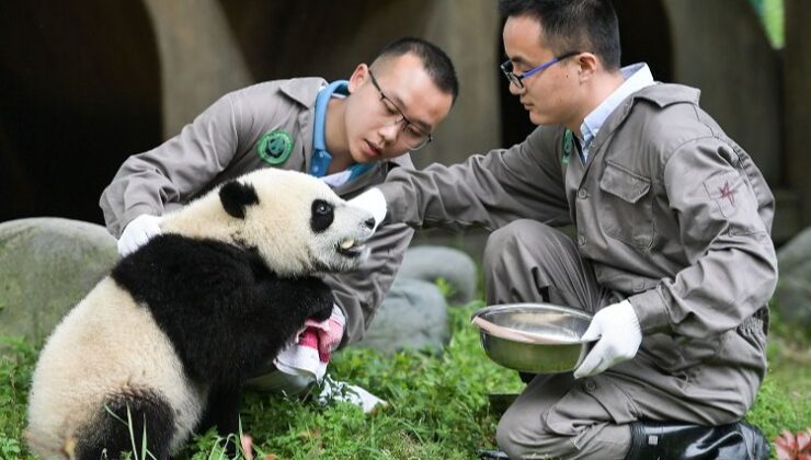 Chengdu- İstanbul uçuşları yeniden başlıyor