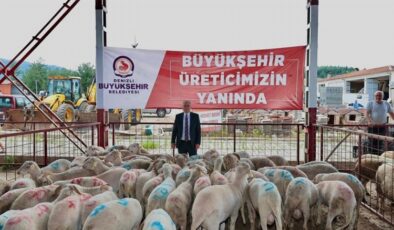 Denizli’de hayvancılığa ‘büyük’ destek