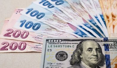 Dolar/TL kuru 25 TL’yi aştı