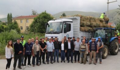 Eskişehir İnönü’de manda yetiştiricilerine balya desteği