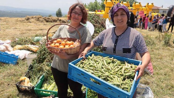 İzmit Dağköy’de araka hasat şenliği