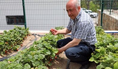 Kayseri Talas’tan deneme bahçelerine teşvik