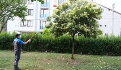 Çayırova’da mesire alanları ve parklar ilaçlanıyor