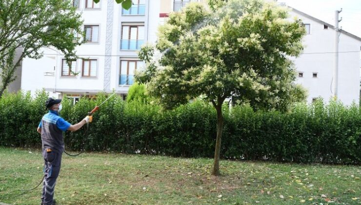 Çayırova’da mesire alanları ve parklar ilaçlanıyor