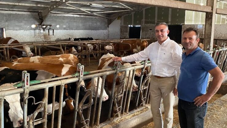 Çiğ süt fiyatı üreticiyi tatmin etmedi