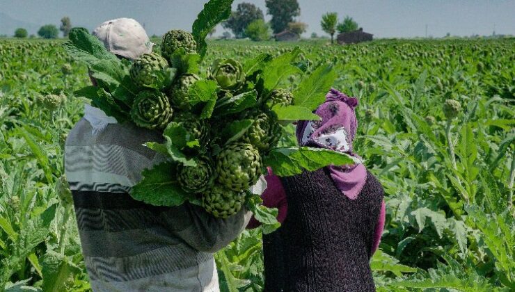 Hatay enginarlarını reyonlarında satışa sundu