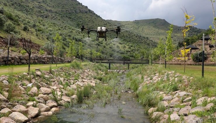 Kayseri Talas’ta droneli tarım ilaçlaması