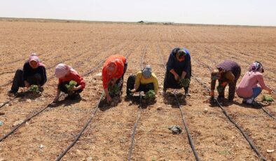 Konya 2024’ün tarımsal destek kayıtlarını başlattı