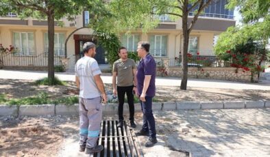 Mehmet Savran’dan saha turu