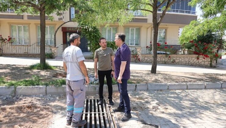 Mehmet Savran’dan saha turu