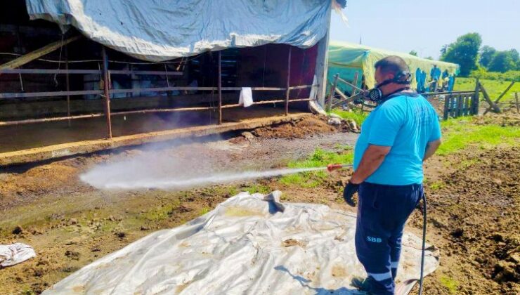 Sakarya’da 16 ilçede vektörle mücadeleye devam