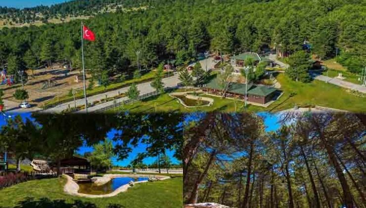 Sıcaktan bunalan Kefe’ye koşuyor