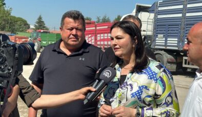 TMO Edirne’ye yeni alım noktası açacak