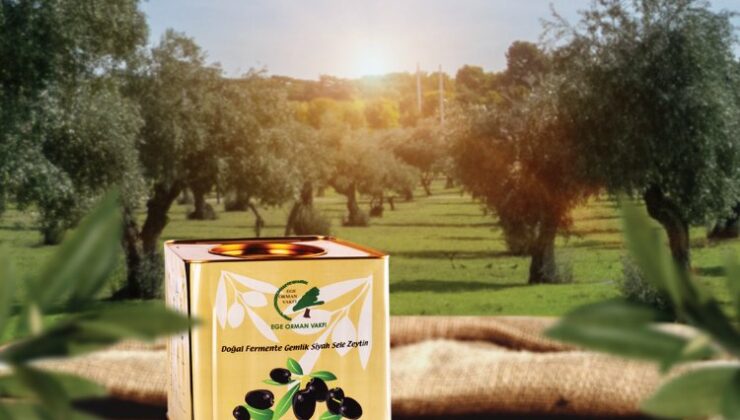 Zeytin satışları Kahta’da ormana dönüşecek