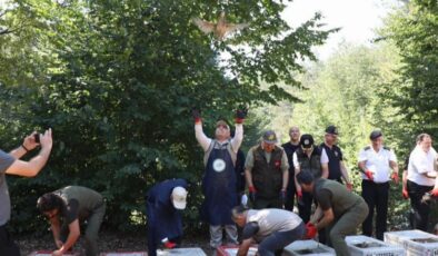 Sülünler doğaya salındı